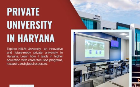 NIILM University – A Leading Private University in Haryana Empowering Future-Ready Learners