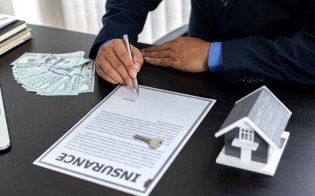 Which USA Insurance Policy Saves You the Most Money in 2025?