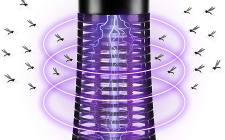 Mosquito Killer Market Appeal Among Digital Detox Enthusiasts 2025–2035