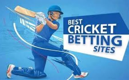 Online Cricket ID Provider – Everything you need to know before getting started