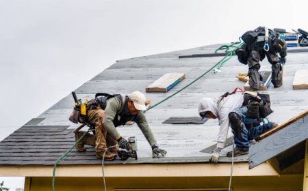 Behind the Scenes of a Local Roofing Company