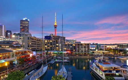 New Zealand Tour Package Guide: Must-Visit Destinations & Experiences