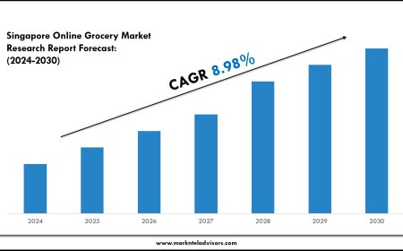 Comprehensive Singapore Online Grocery Market Analysis and Forecast Data