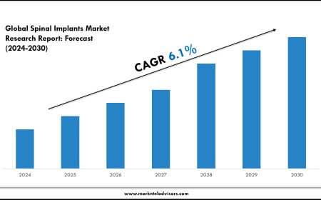 Spinal Implants Market Size, Trends and Forecast Analysis 2024–2030