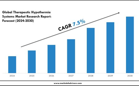 Therapeutic Hypothermia Systems Market Size, Trends and Forecast Analysis 2024–2030