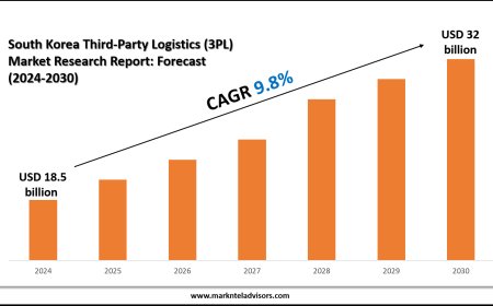 South Korea Third-Party Logistics (3PL) Market Scope, Volume and Executive Summary 2030