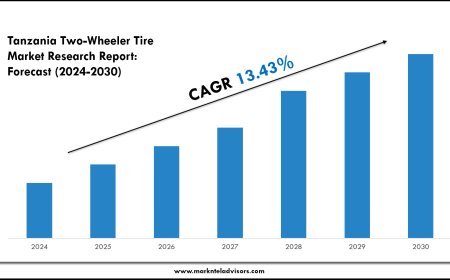 Tanzania Two-Wheeler Tire Market Scope, Volume and Executive Summary 2030