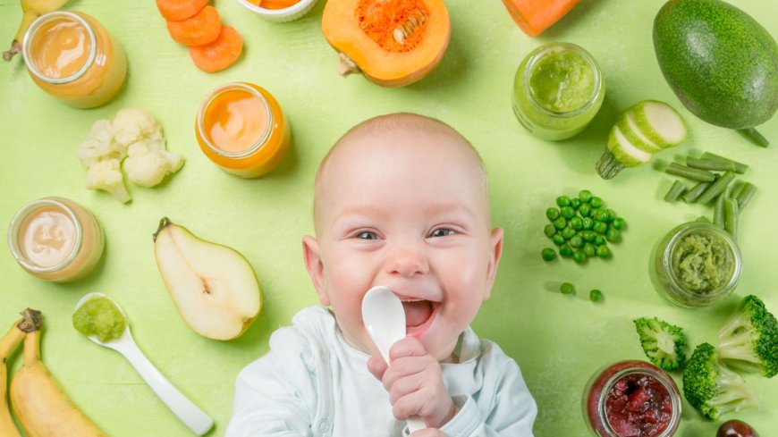 Organic Baby Food Market to Surpass USD 13.86 Billion by 2033, Driven by Parental Shift Toward Healthier, Chemical-Free Nutrition