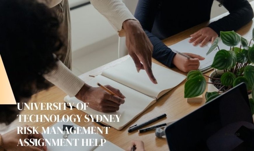University of Technology Sydney Risk Management Assignment Help