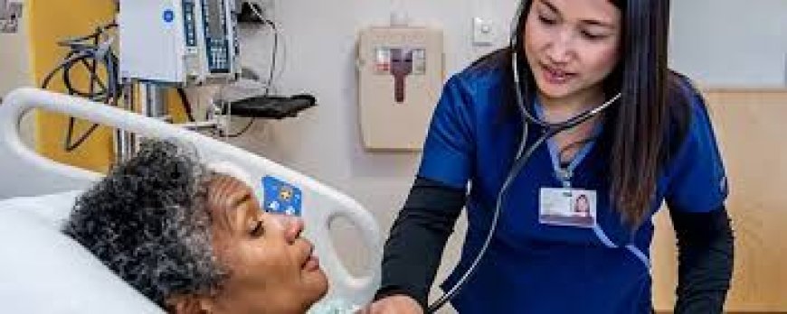 Assistance for Understudies in Nursing with an All-Inclusive & Trustworthy Online Course Offer Pursuing Academic Success