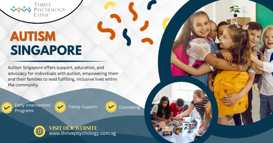 Understanding Autism in Singapore: How a Developmental Psychologist Can Help