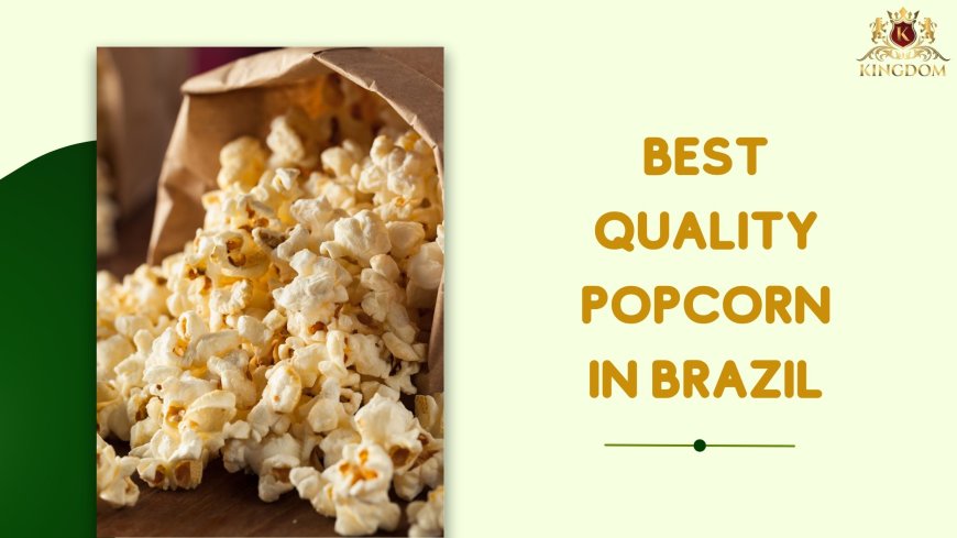 Discover the Best Quality Popcorn in Brazil for Export