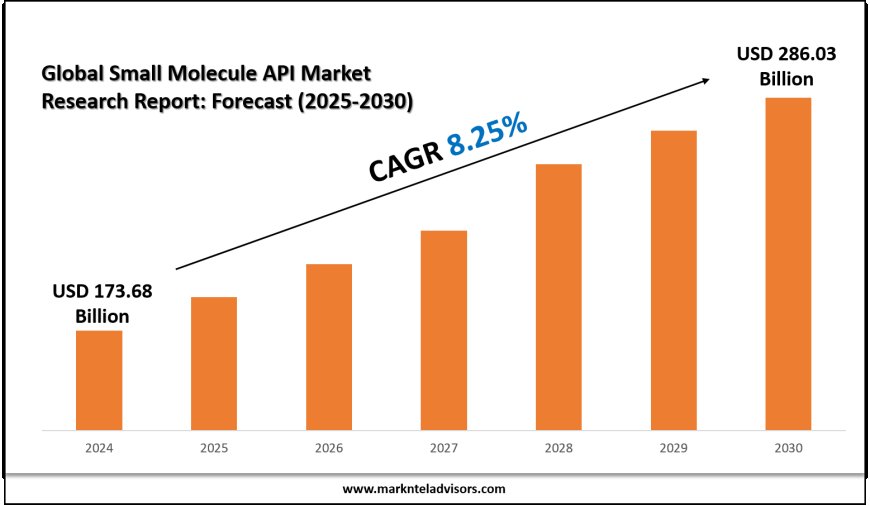 Comprehensive Small Molecule API Market Analysis and Forecast Data