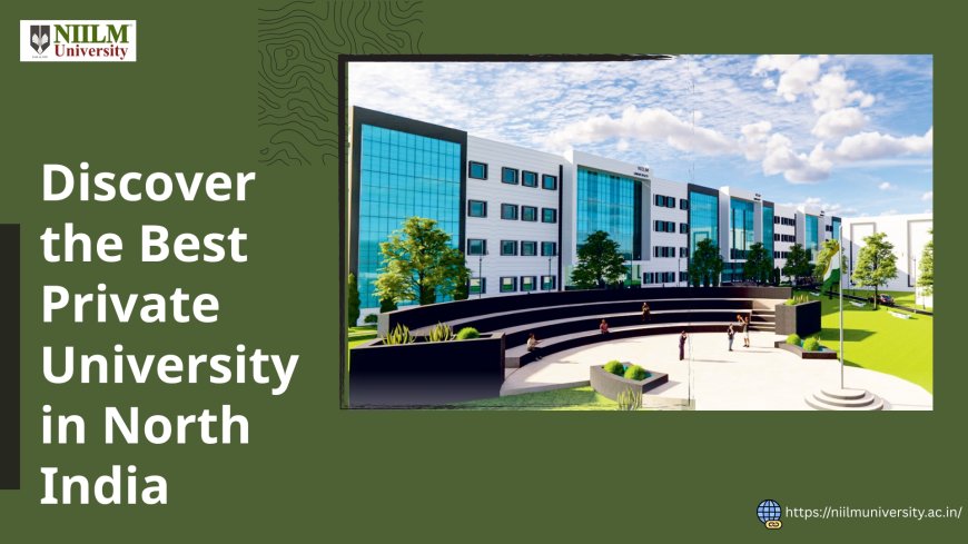 NIILM University: Redefining Higher Education in India as the Best Private University in North India
