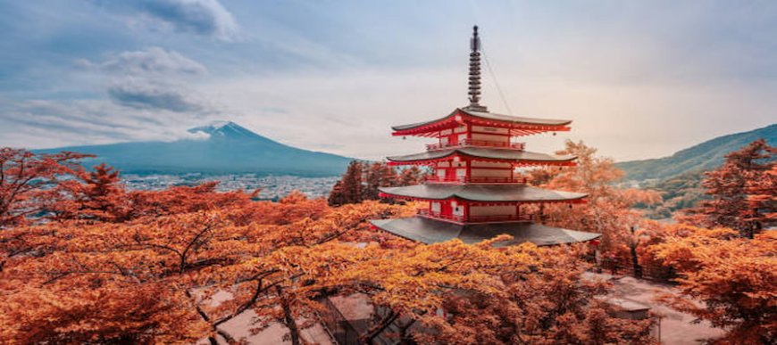 Top 10 Nature Spots in Japan for Outdoor Lovers