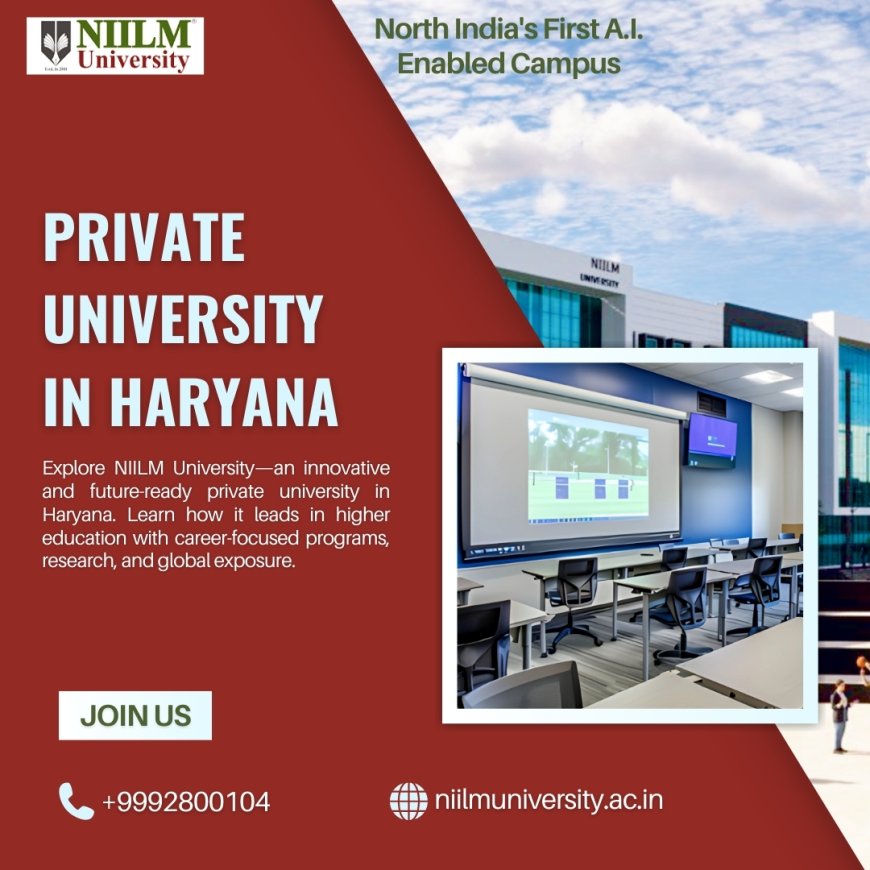 NIILM University – A Leading Private University in Haryana Empowering Future-Ready Learners