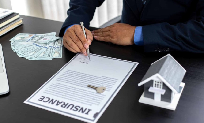 Which USA Insurance Policy Saves You the Most Money in 2025?