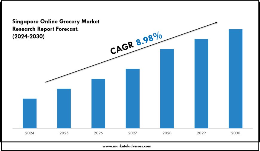 Comprehensive Singapore Online Grocery Market Analysis and Forecast Data